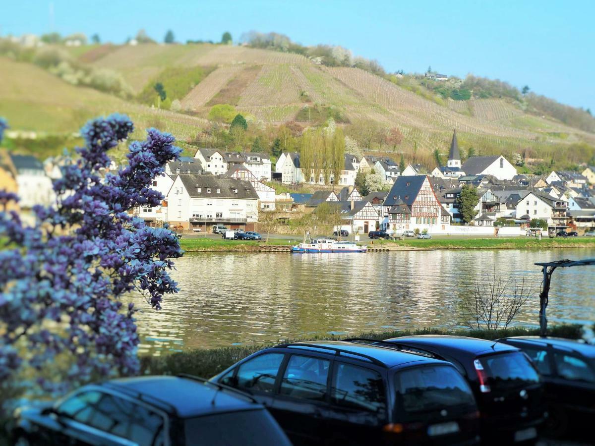 Mosel Ausblick Διαμέρισμα Zell an der Mosel Εξωτερικό φωτογραφία